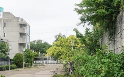 JR甲南山手駅へ続く並木道